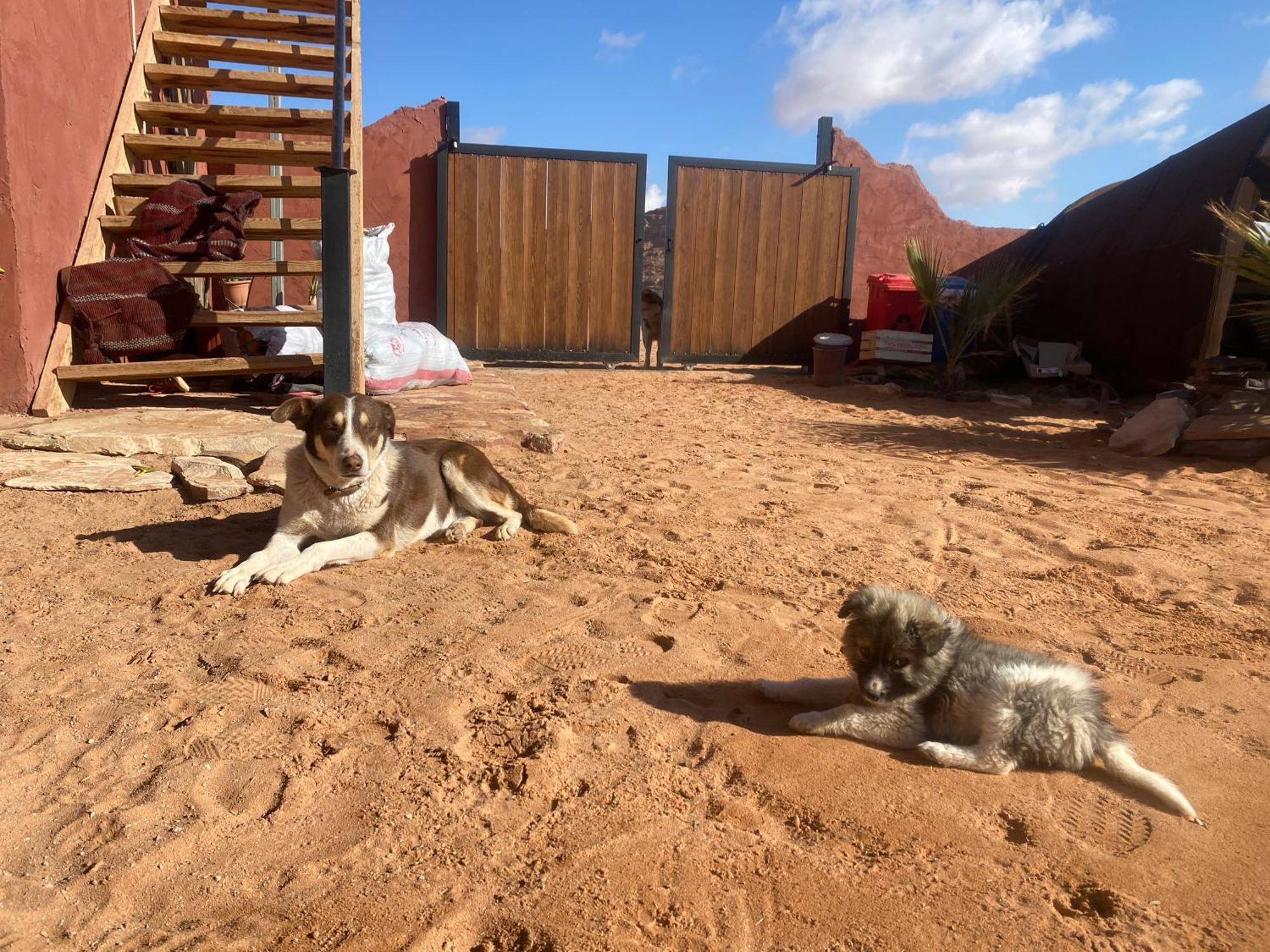 Appartamento Pink Spirit Wellness Farm Ad Disah Esterno foto